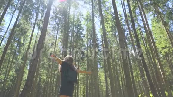 女人在森林里转悠视频的预览图