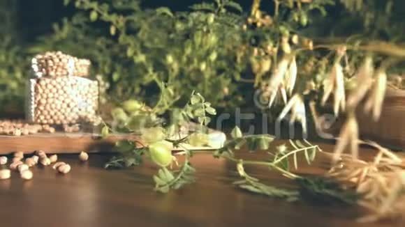 鹰嘴豆的静态生活视频的预览图