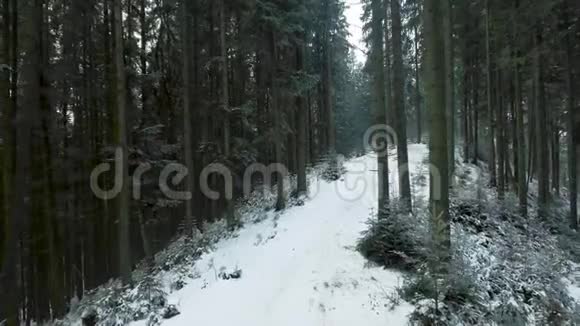 喀尔巴阡山脉冬季森林中的一条小径的鸟瞰图4k视频视频的预览图