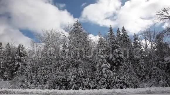云和冬日仙境视频的预览图