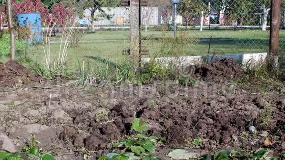 一个人提着一辆装有肥料的花园车在花园周围运输给土壤粪便施肥视频的预览图