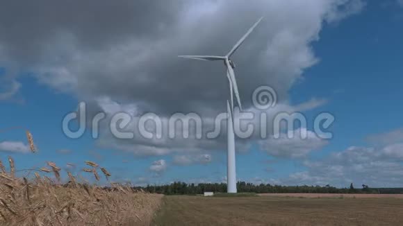 晴天旋转风力发电机视频的预览图