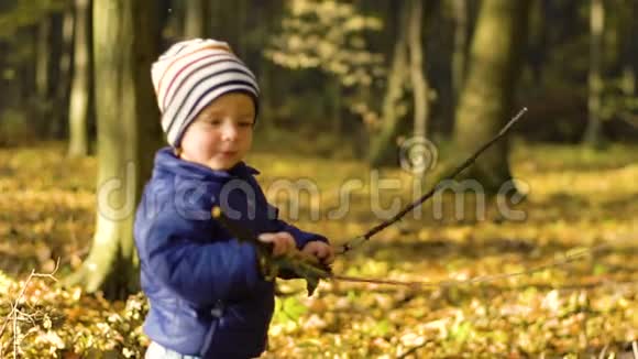 快乐的小男孩在玩秋叶慢慢地扔树叶视频的预览图