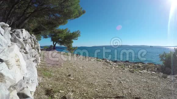 4K镜头阳光明媚的一天一个男人带着狗狗在海岸边慢跑视频的预览图