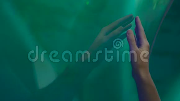 一名女子手在海洋馆的管道上碰玻璃的特写镜头视频的预览图