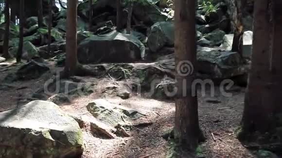 阳光明媚的一天穿过石间的森林小径视频的预览图