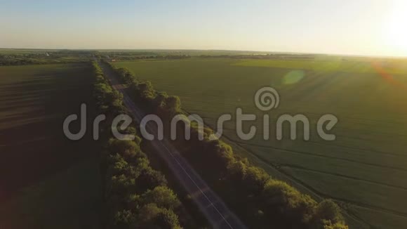 在植物和绿地之间的道路上的鸟瞰图视频的预览图