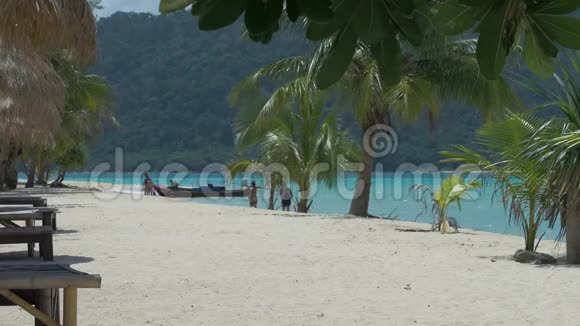 热带棕榈树在沙滩上轻微的微风中移动在蓝色的海水中摆动着长长的尾船有些失去了视频的预览图