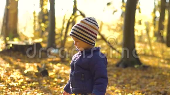 快乐的小男孩在玩秋叶慢慢地扔树叶视频的预览图