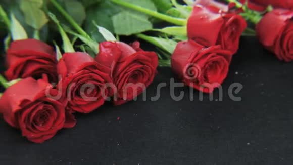 红玫瑰躺在地板上视频的预览图