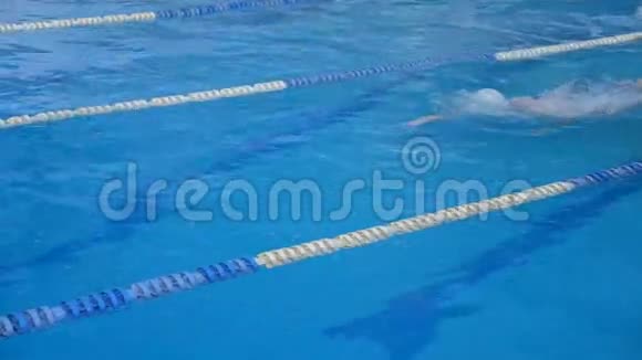 运动员在游泳池里训练游泳运动员视频的预览图