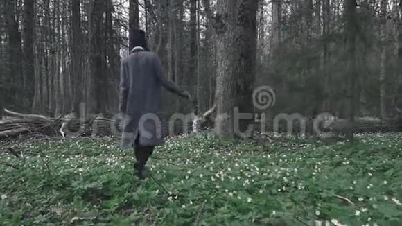 美丽的少女穿过春天的森林视频的预览图