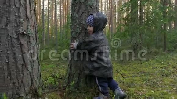 可爱的小男孩在松林公园散步玩得开心拥抱树木视频的预览图
