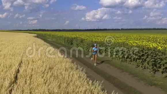 女人在盛开的向日葵田野里奔跑慢动作视频的预览图