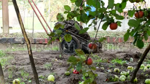 一个人拿着一辆装有肥料的花园手推车在花园周围运输使土壤肥沃视频的预览图