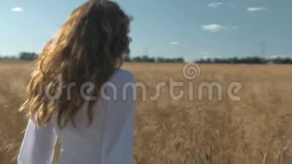 年轻漂亮的女人留着长发穿着一件白色的连衣裙带着小麦沿着田野走着视频的预览图