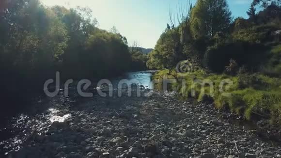 4k空中河流在温暖的阳光下弯曲视频的预览图