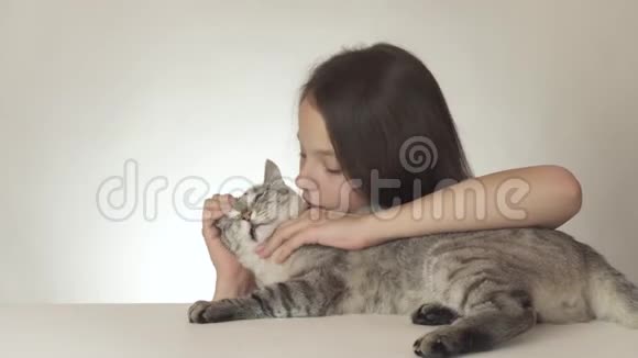 美丽的少女亲吻和拥抱她心爱的猫泰国品种的白色背景股票视频视频的预览图