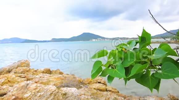 泰国热带海滩白沙海岸视频的预览图