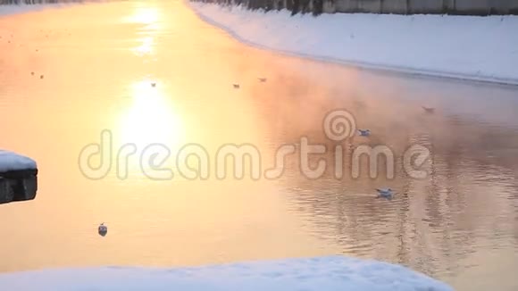 冬天在河上日出视频的预览图
