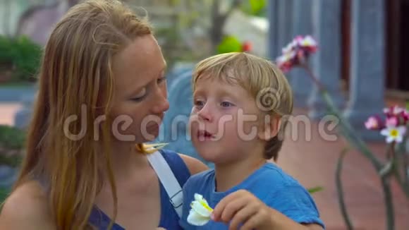 在PhuQuoc岛上的一座波德寺里女人和她的儿子嗅着佛兰吉帕尼的花朵视频的预览图