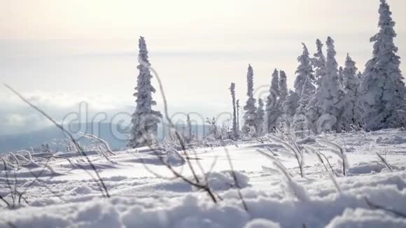 令人惊叹的冬季景观高刺和雪山慢动作3840x2160视频的预览图