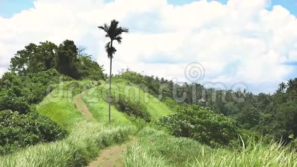 巴厘岛乌布德的坎布汉岭步道青山棕榈树和丛林景观视频的预览图