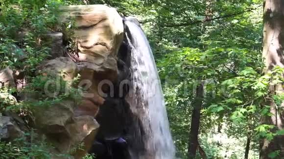 森林中悬崖上的瀑布流自然背景园林建筑视频的预览图