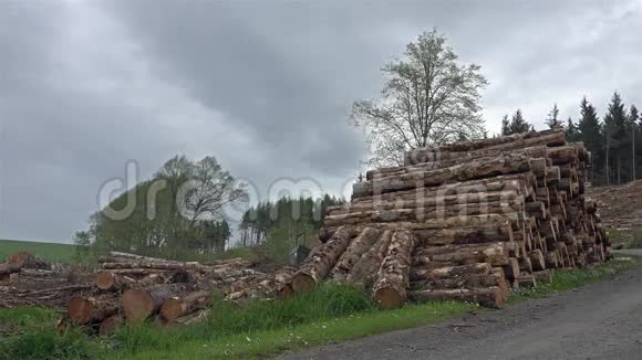 在森林里被炸成的树干视频的预览图