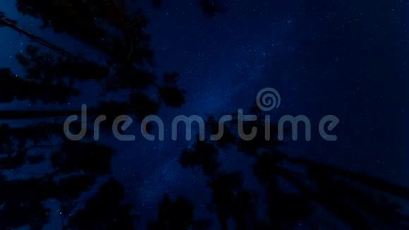 在松树的背景下旋转星星和银河从火中闪耀在松树上视频的预览图