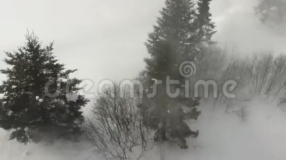 直升机在雪地里降落视频的预览图