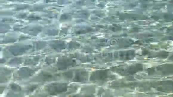 沙滩干净的海水视频的预览图