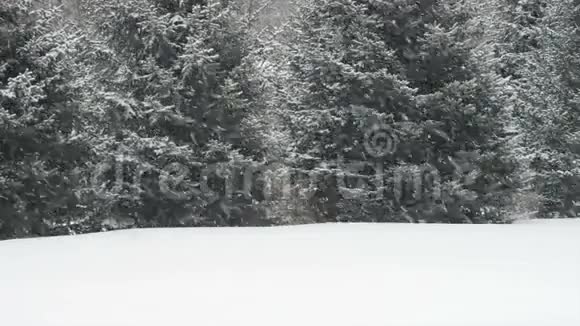 暴风雪中落下的雪在冬天是下雪视频的预览图