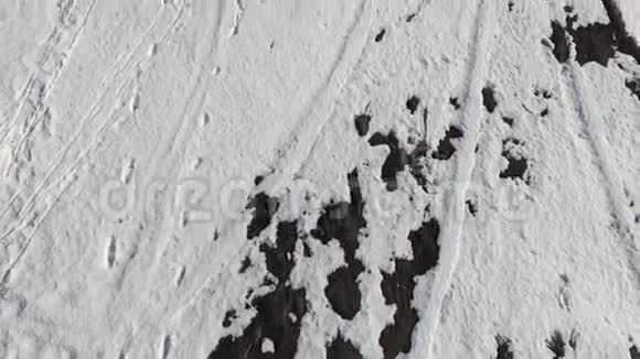 在雪地上奔跑的孩子视频的预览图
