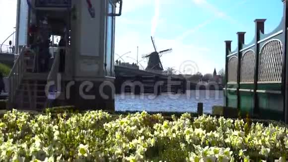 在赞斯桑斯秋日用郁金香拍摄的旧风车视频的预览图