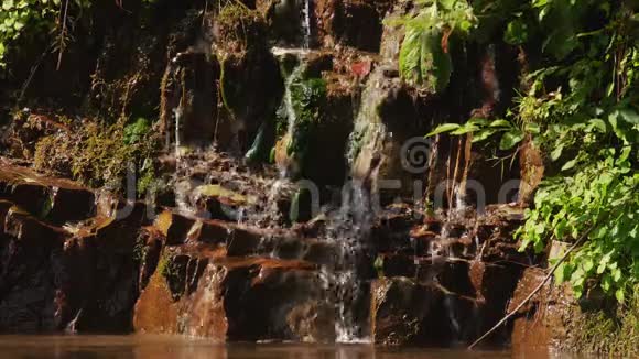 水在岩石上流淌自然森林景观视频的预览图