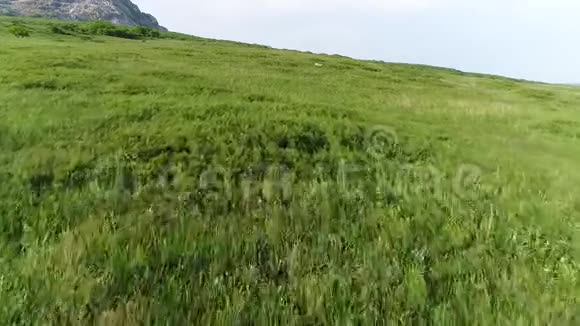 从草地飞到破碎的山上视频的预览图