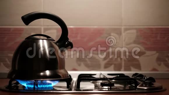 金属水壶用喷口喷出的蒸汽沸腾为茶做热水的男人视频的预览图