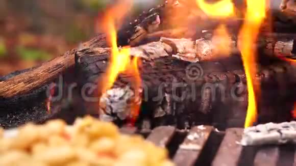 在森林营火橙焰烤架上准备的美味的哈立可豆罐头蔬菜沙拉近距离观看视频的预览图