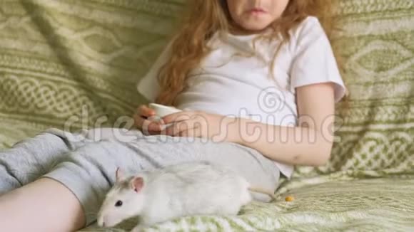 小女孩在玩老鼠视频的预览图