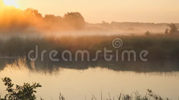 清晨的雾在一个宁静的湖面上在朝阳的照耀下视频的预览图