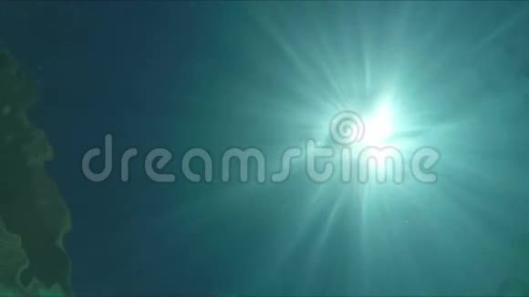 从水下看太阳和人类游泳视频的预览图