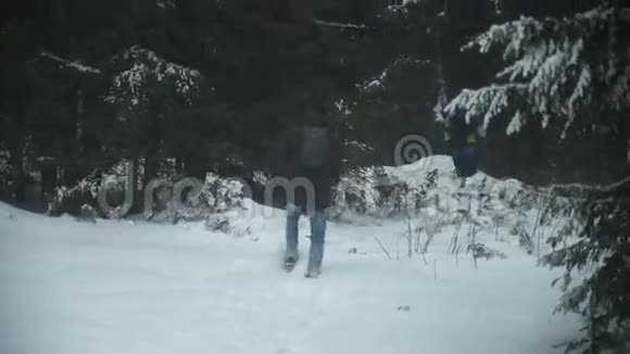冬天人们穿过树林视频的预览图
