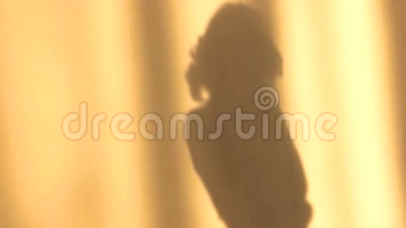 阳光下墙上女孩的影子视频的预览图