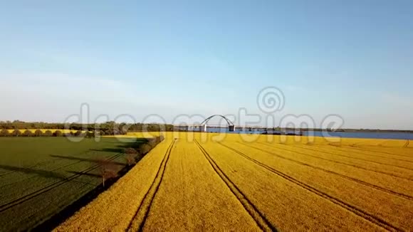 飞马大桥和油菜田空中景观视频的预览图