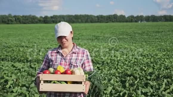 农夫把新鲜蔬菜放在木箱里视频的预览图
