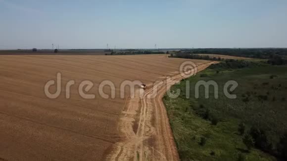 联合收割机的空中景观农业机械收割谷物的机器视频的预览图