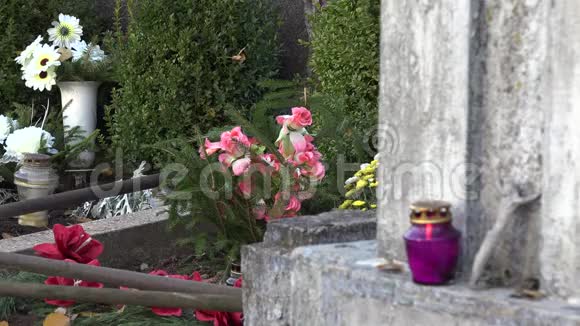 坟墓上的花和墓地上石头上的紫烛光4K视频的预览图