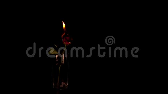 黑色背景下燃烧的玫瑰慢动作视频的预览图