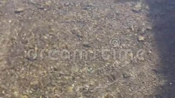 流水流水溪河石视频的预览图
